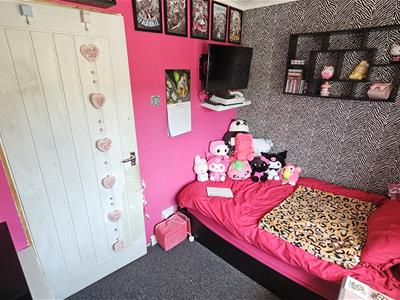 Picture 31